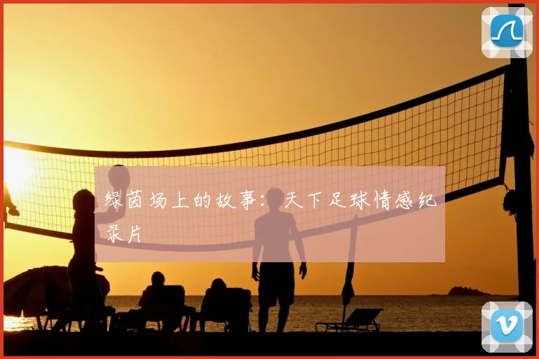 绿茵场上的故事：天下足球情感纪录片