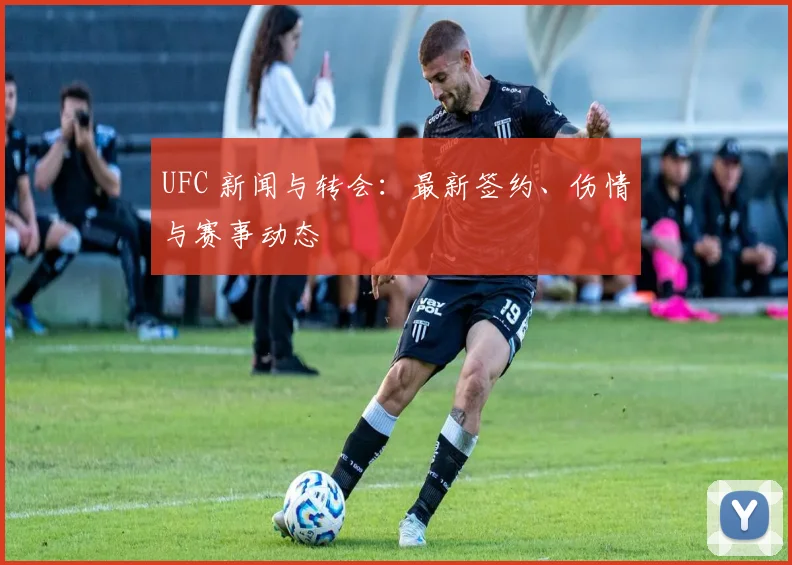 UFC 新闻与转会：最新签约、伤情与赛事动态