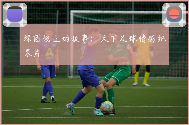 绿茵场上的故事：天下足球情感纪录片